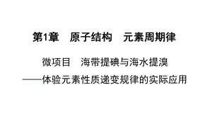 （2019新版）鲁科版高中化学必修二 微项目海带提碘与海水提溴 ppt课件.ppt