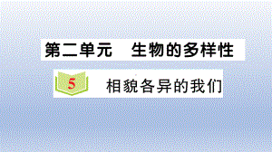 小学科学教科版六年级下册第二单元第5课《相貌各异的我们》作业课件2（2022新版）.ppt