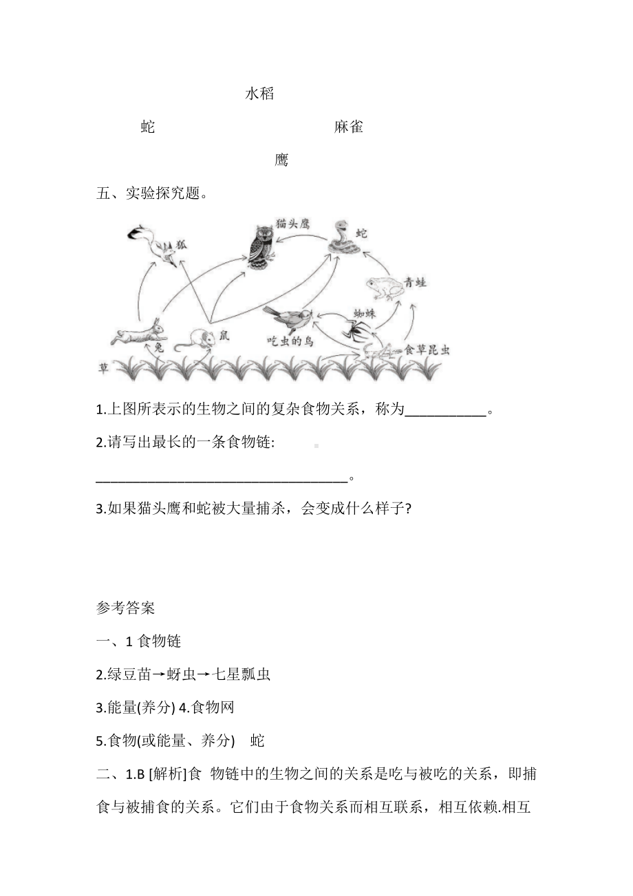 （2022新）教科版五年级下册科学1.6 食物链和食物网 一课一练（含答案解析）.doc_第3页