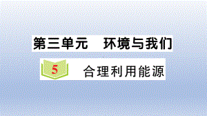 小学科学教科版五年级下册第三单元第5课《合理利用能源》作业课件2（2022新版）.ppt