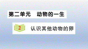 小学科学教科版三年级下册第二单元第2课《 认识其他动物的卵》作业课件2（2020新版）.ppt