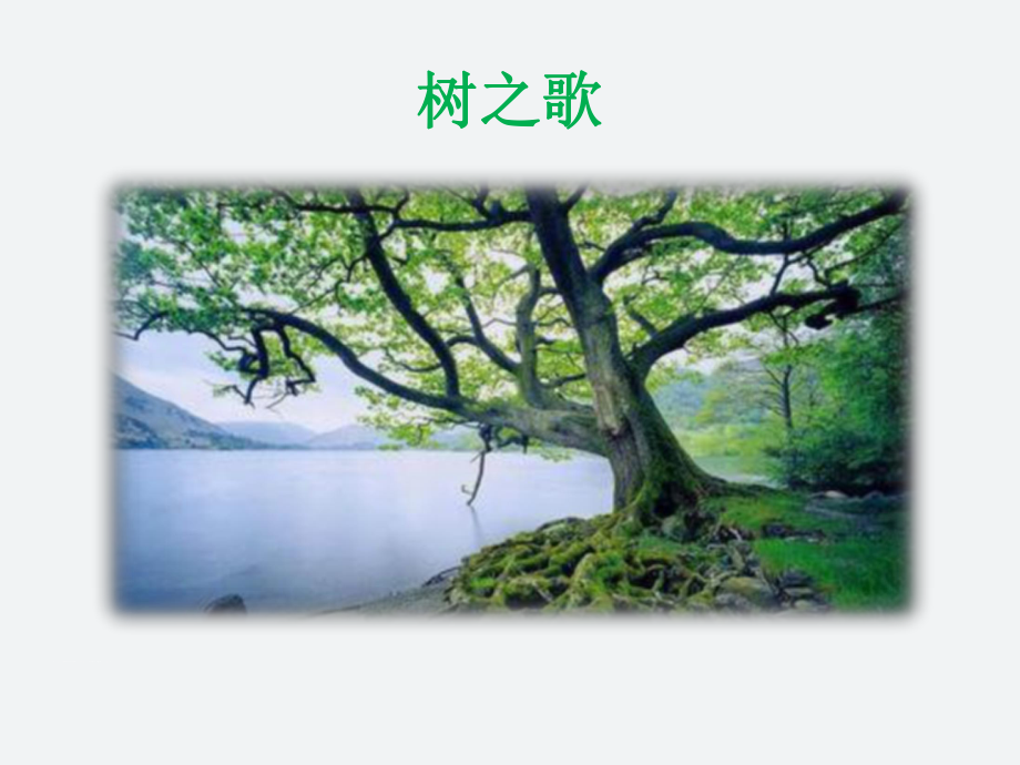 部编版二年级上册语文 2 树之歌 课件（28页）.ppt_第1页