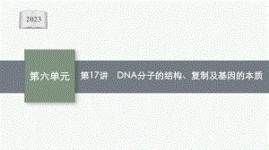 2023年老高考生物一轮复习第17讲　DNA分子的结构、复制及基因的本质.pptx