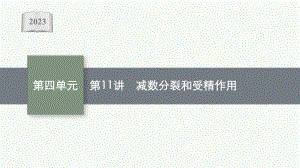 2023年老高考生物一轮复习第11讲　减数分裂和受精作用.pptx