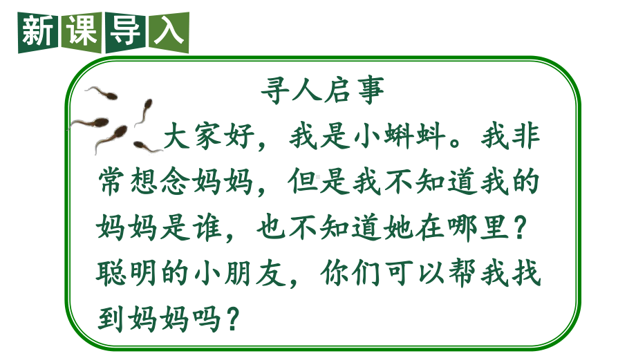 部编版二年级上册语文 1 小蝌蚪找妈妈第一课时 公开课课件.pptx_第3页