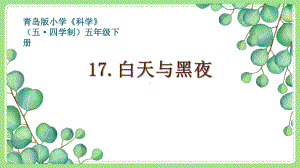 五四制新青岛版五年级科学下册17《白天与黑夜》PPT课件.pptx