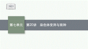 2023年老高考生物一轮复习第20讲　染色体变异与育种.pptx