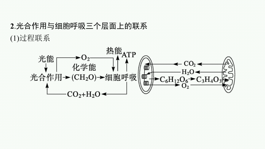 2023年老高考生物一轮复习微专题1　光合作用与细胞呼吸综合提升(含三率测定).pptx_第3页