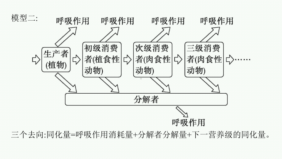 2023年老高考生物一轮复习微专题7　能量流动分流模型解读及相关计算.pptx_第3页