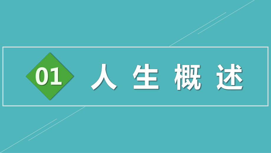 扁平风商务风个人规划汇报自我反思PPT动态资料课件.pptx_第3页