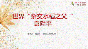 2022袁隆平时政ppt.pptx