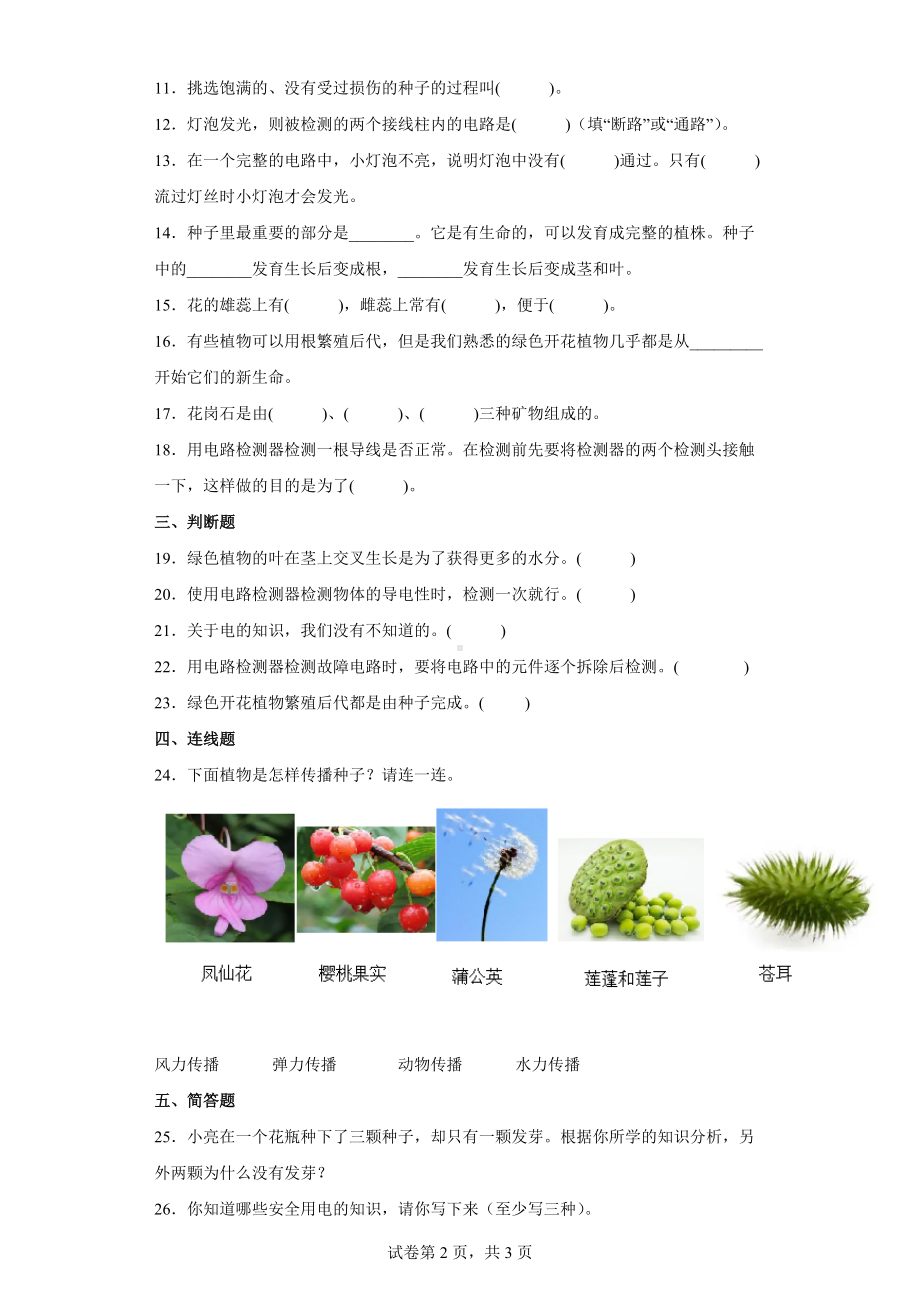 2022教科版四年级下册科学期末过关检测卷A（含答案）.docx_第2页