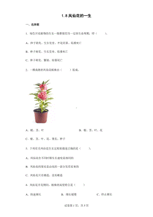 2022教科版四年级下册科学1.8凤仙花的一生同步练习（含答案）.docx