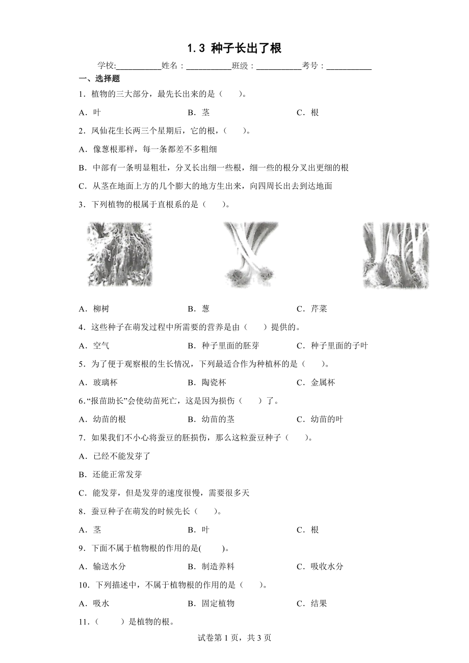 2022教科版四年级下册科学1.3种子长出了根（同步练习）（含答案）.docx_第1页