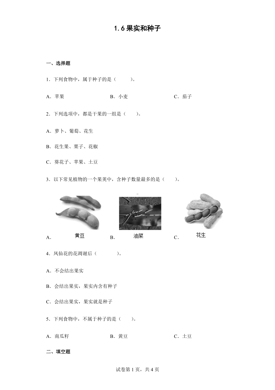 2022教科版四年级下册科学1.6果实和种子同步练习（含答案）.docx_第1页