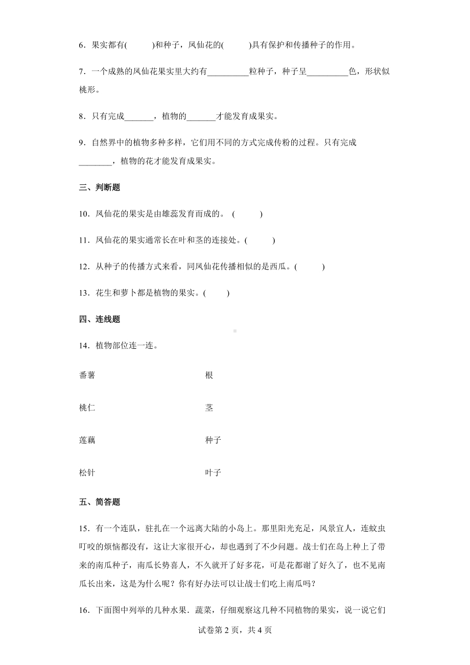 2022教科版四年级下册科学1.6果实和种子同步练习（含答案）.docx_第2页