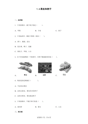 2022教科版四年级下册科学1.6果实和种子同步练习（含答案）.docx