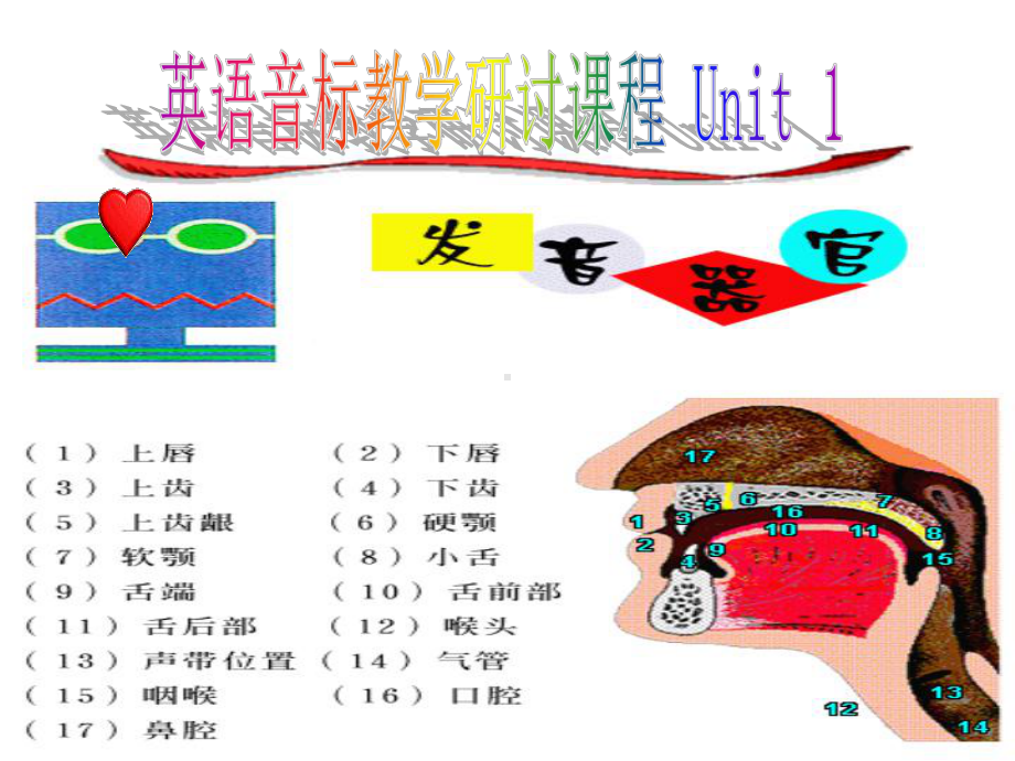 2. 48个英语音标教学课件 PPT课件.ppt_第2页