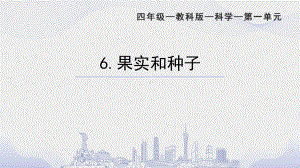 2022教科版四年级下册科学6.果实和种子 ppt课件.ppt