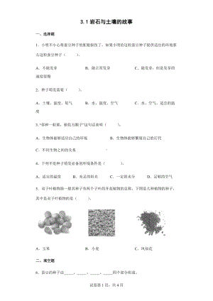 2022教科版四年级下册科学1.1种子里孕育着新生命同步练习（含答案）.docx