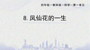 2022教科版四年级下册科学1.8 凤仙花的一生ppt课件.pptx