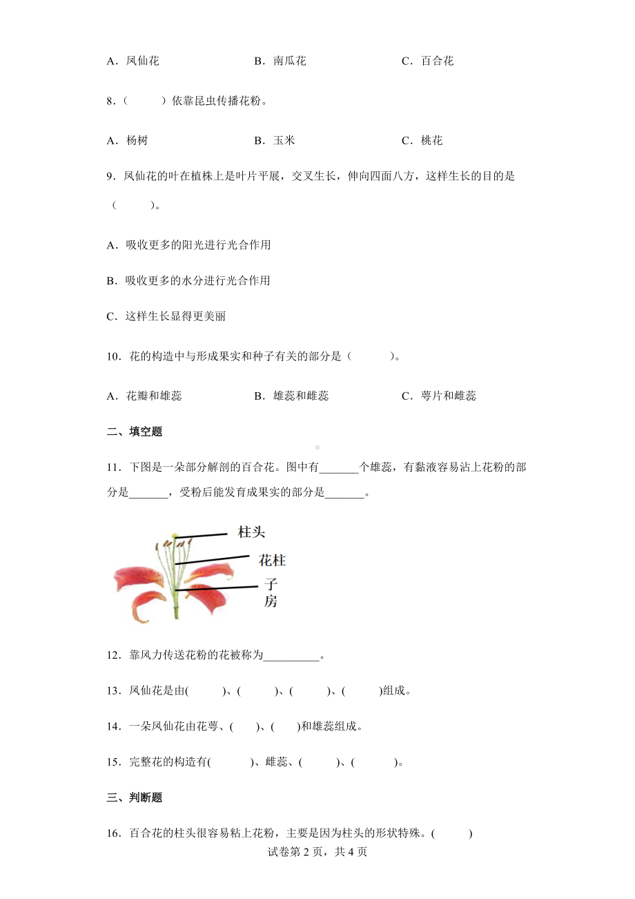 2022教科版四年级下册科学1.5凤仙花开花了同步练习（含答案）.docx_第2页