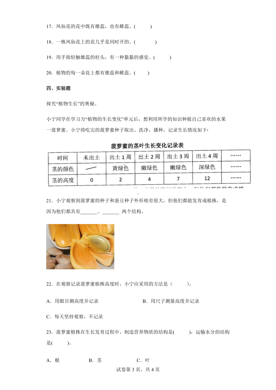 2022教科版四年级下册科学1.5凤仙花开花了同步练习（含答案）.docx_第3页