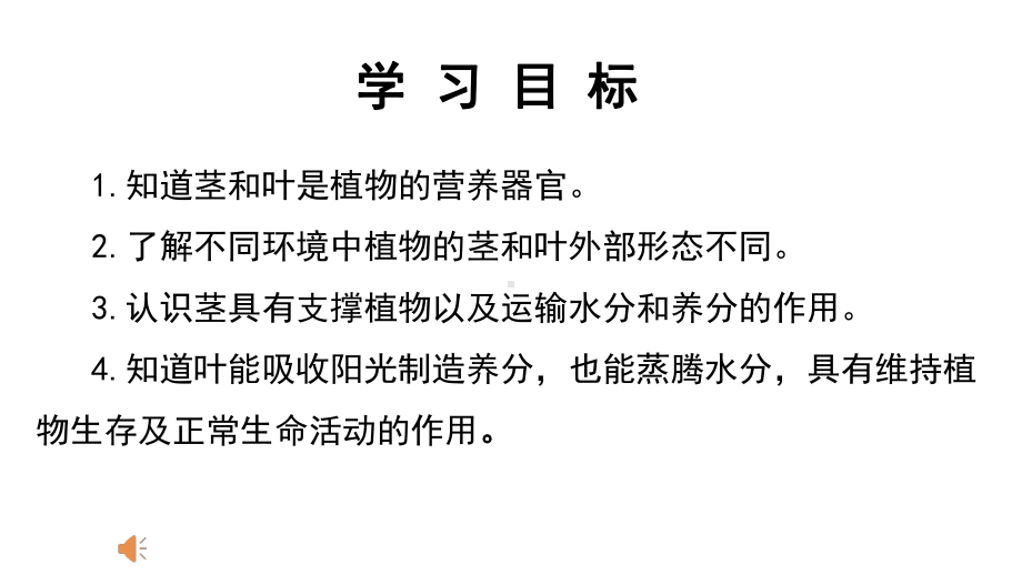 2022教科版四年级下册科学1.4.茎和叶 ppt课件.pptx_第2页