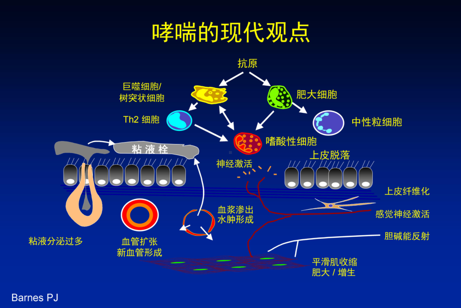 儿童哮喘诊治研究进展（PPT）课件.ppt_第1页