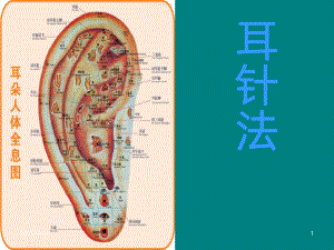 中医耳穴PPT课件.ppt