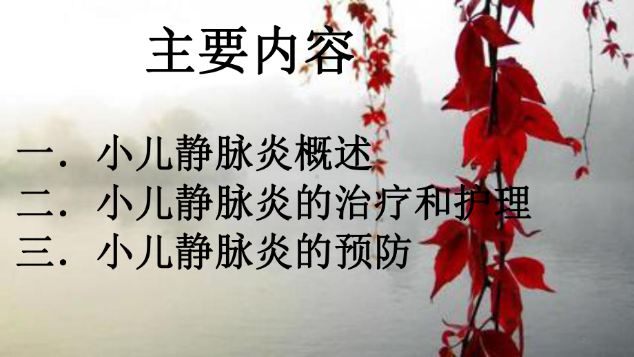 小儿静脉炎防治ppt课件1.pptx_第2页