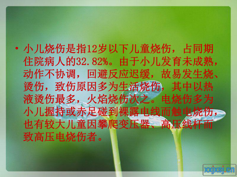 小儿烧伤治疗ppt精品医学课件.ppt_第2页