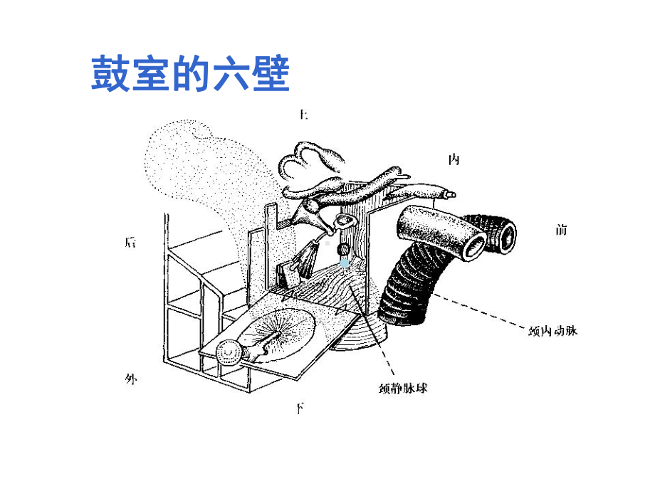 中耳腔隙的解剖和临床意义课件.ppt_第2页