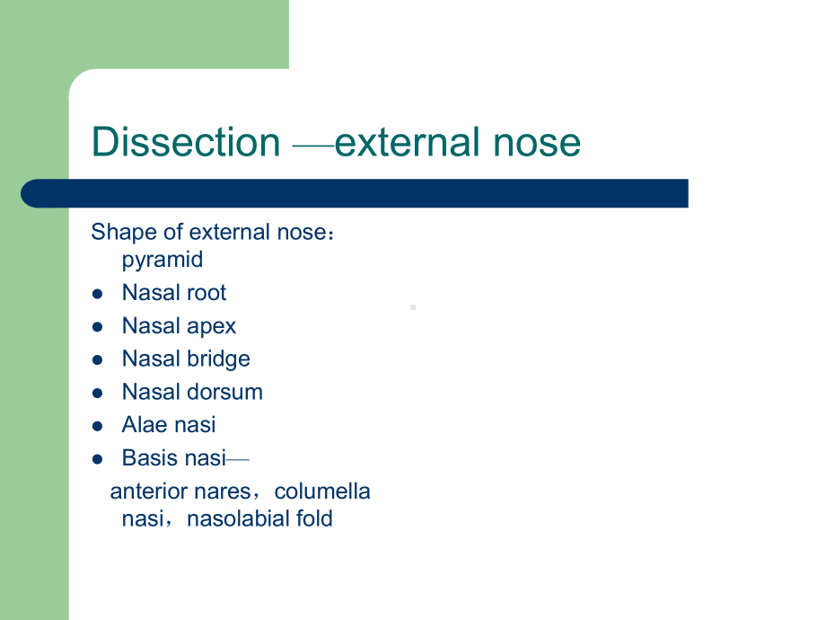 耳鼻咽喉科学英文版课件 rhinology.ppt_第3页