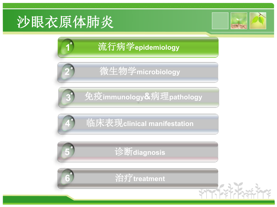 婴儿沙眼衣原体肺炎ppt课件.ppt_第3页