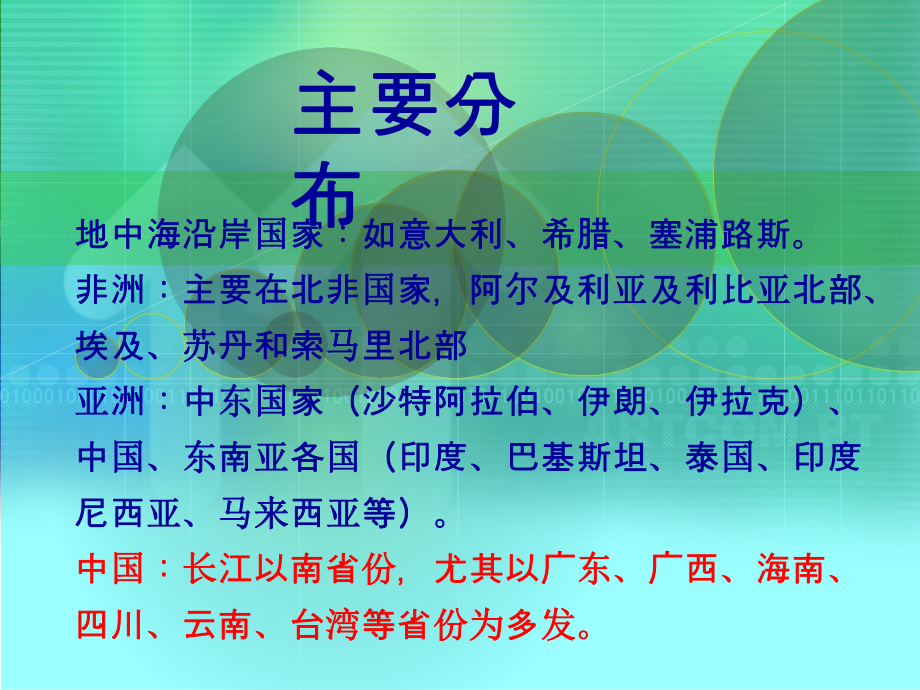 儿科地中海贫血课件.ppt_第3页