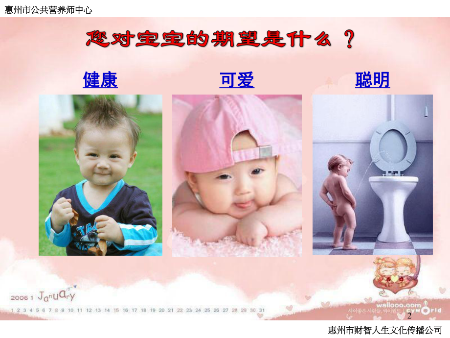 婴幼儿营养与护理PPT课件.ppt_第2页