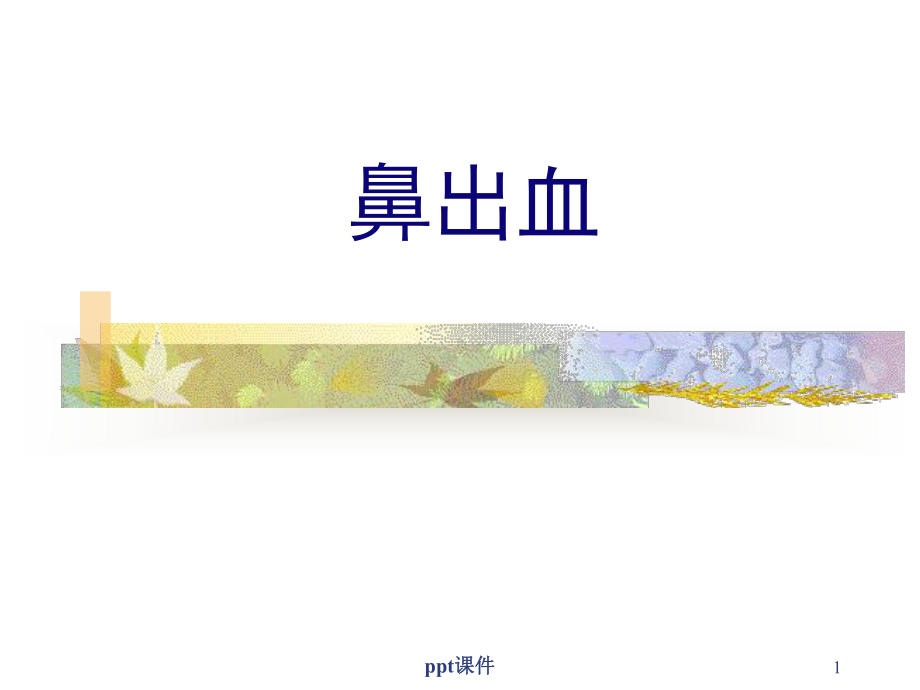 鼻出血-ppt课件.ppt_第1页