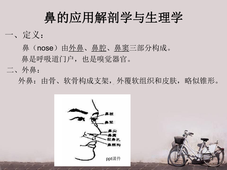 鼻与鼻窦的应用解剖学与生理-ppt课件.ppt_第3页