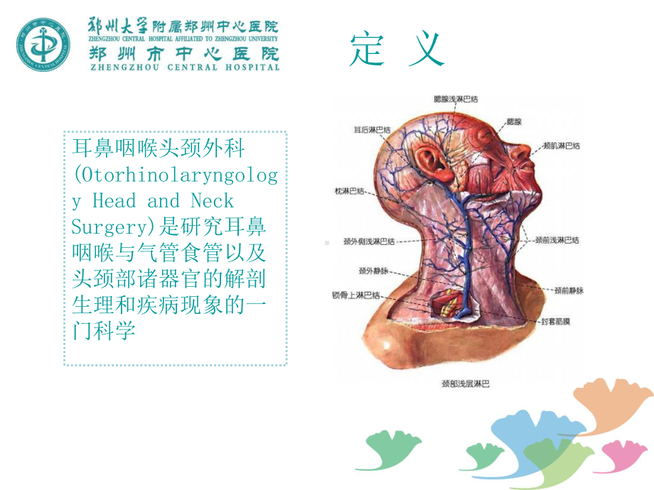 耳鼻咽喉头颈外科PPT课件.ppt_第2页