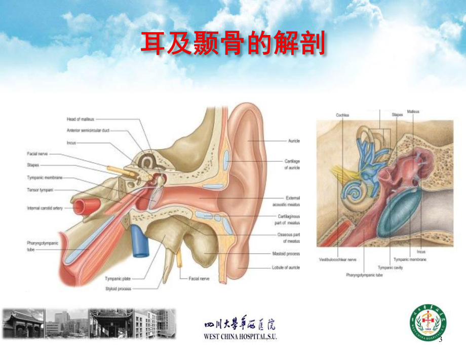 视频链接3耳聋deafnesshearingloss课件.ppt_第3页