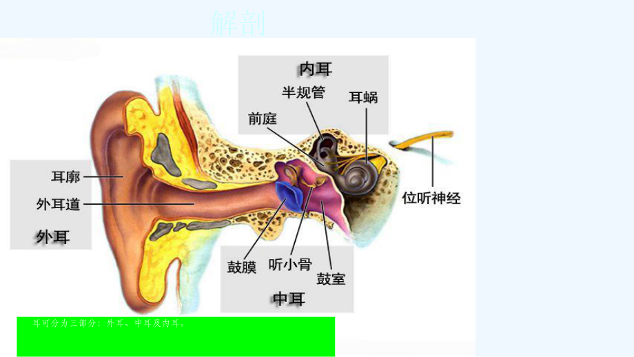 中耳炎的护理课件.ppt_第3页