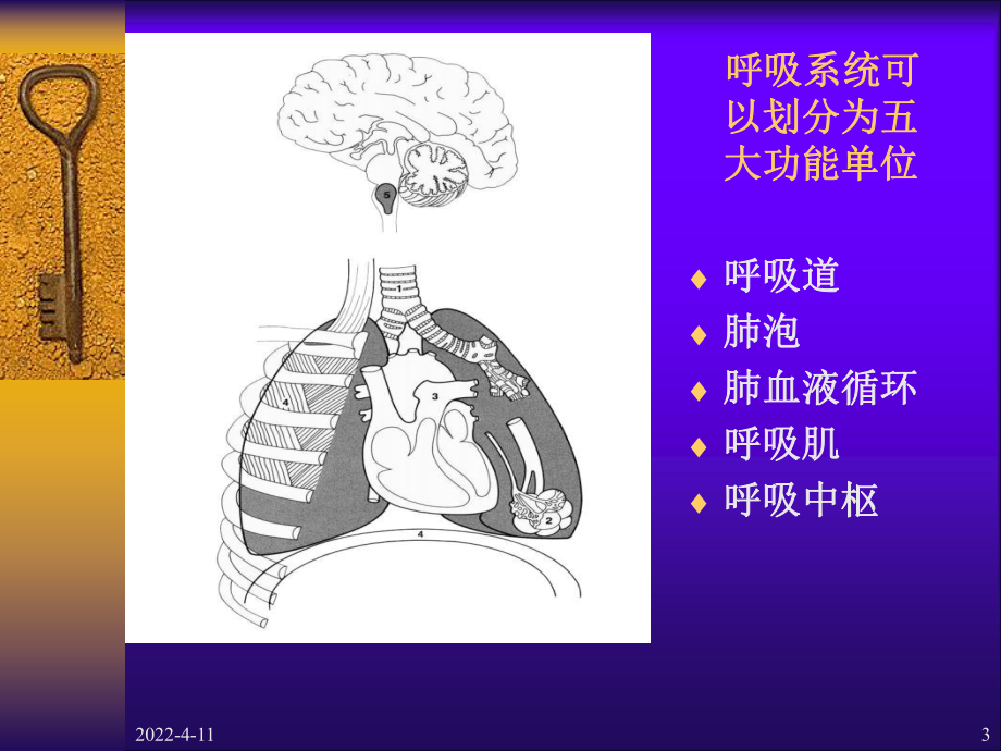 儿童肺炎ppt课件.ppt_第3页