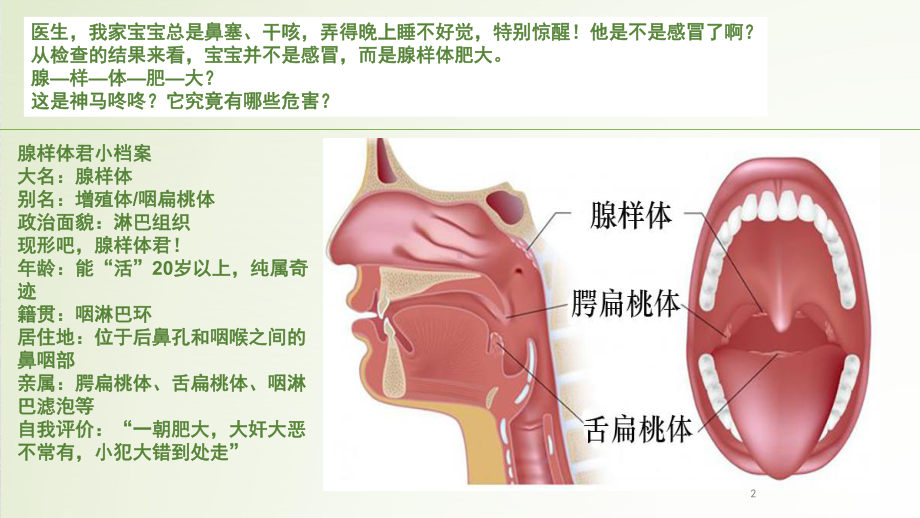 腺样体肥大与鼻炎中医治疗方法ppt课件.pptx_第2页