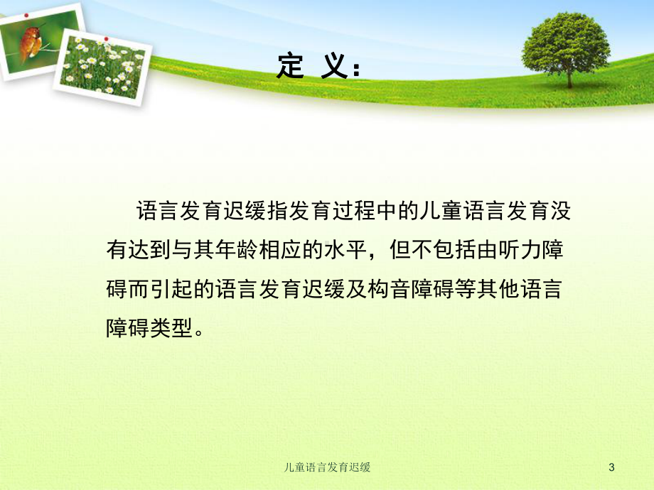 儿童语言发育迟缓培训课件.ppt_第3页