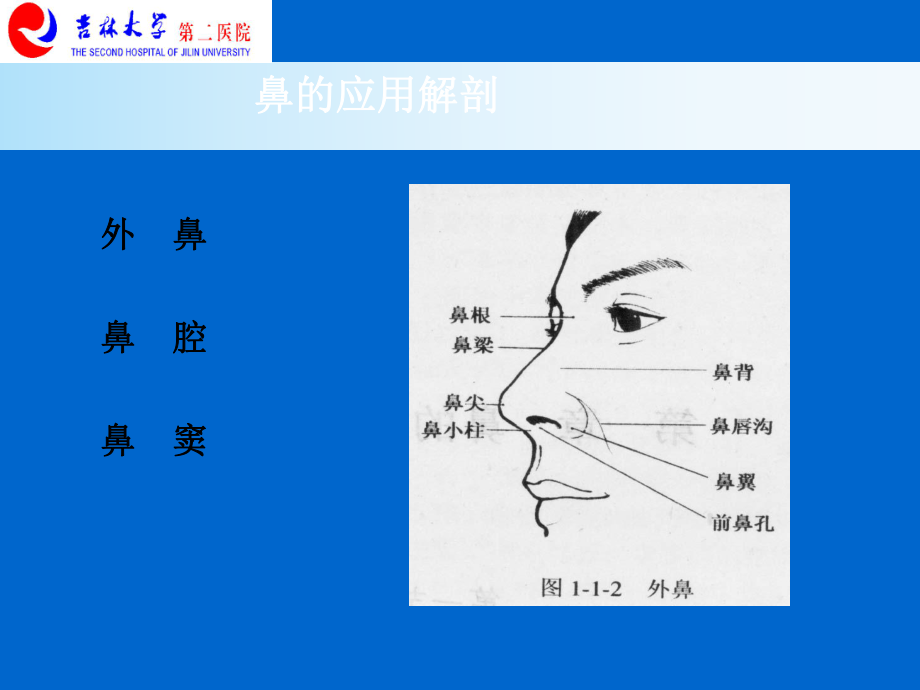 医学鼻科教学医学PPT培训课件.ppt_第3页