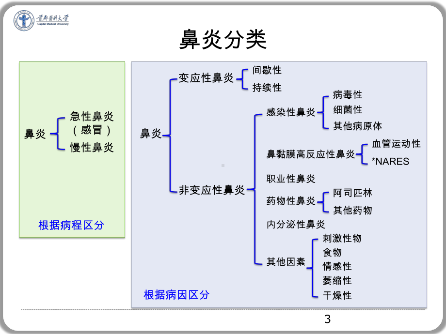 鼻腔鼻窦炎症性疾病PPT课件.ppt_第3页