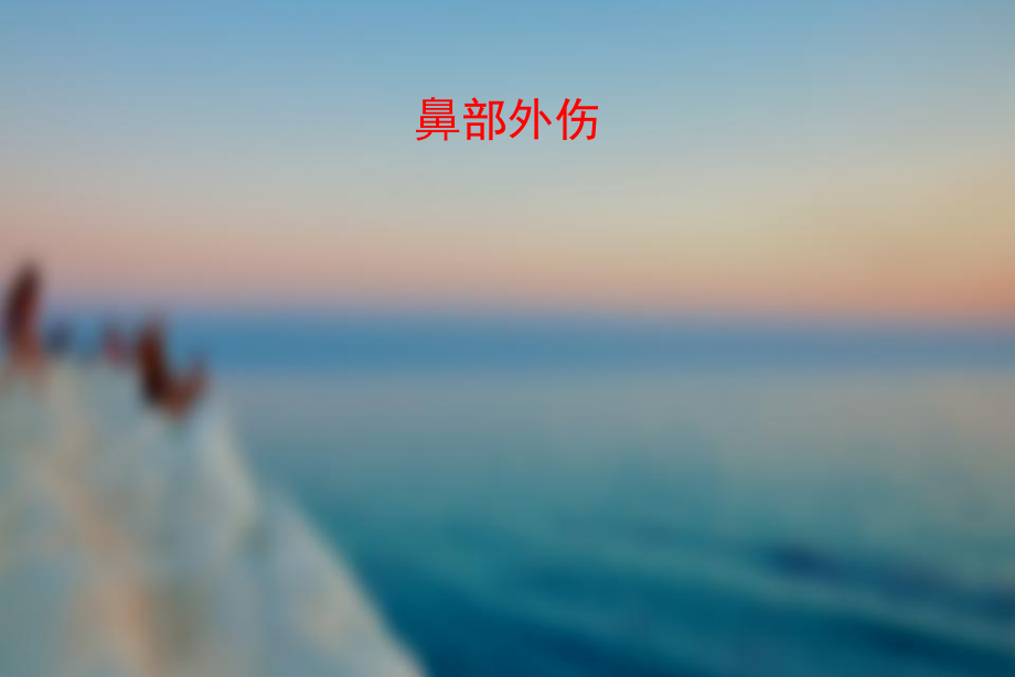 鼻外伤-ppt课件.ppt_第1页