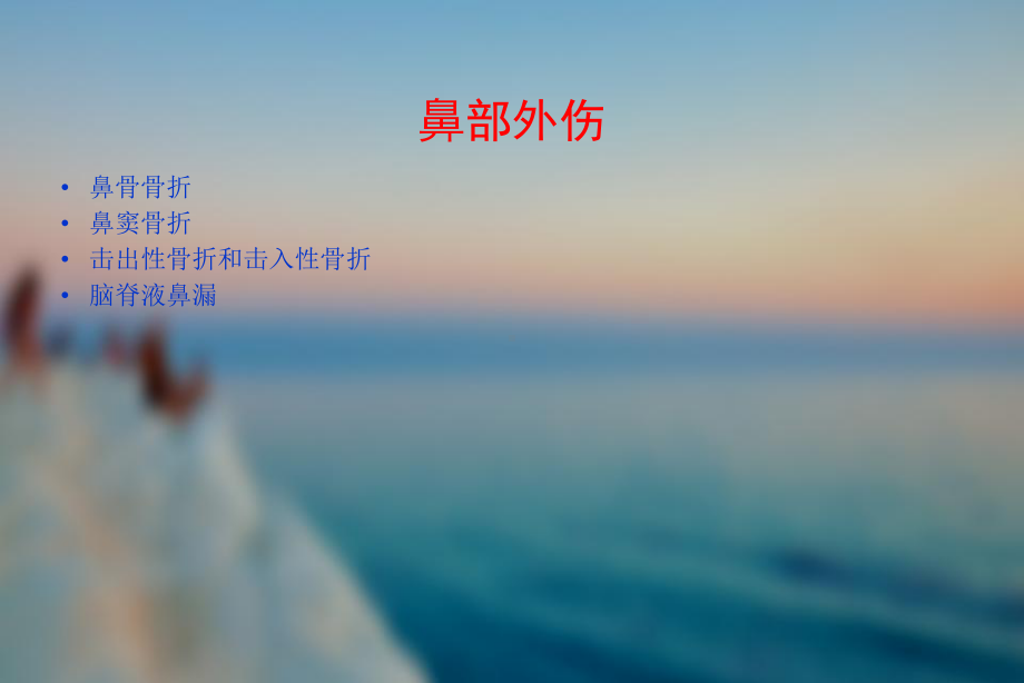 鼻外伤-ppt课件.ppt_第2页