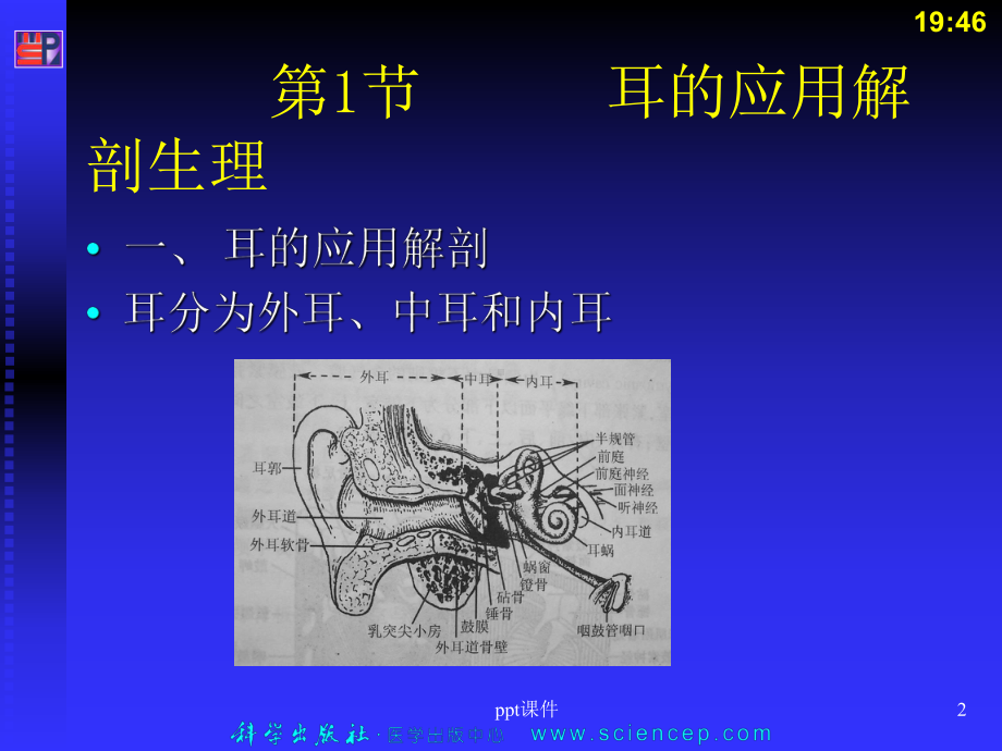 耳鼻咽喉的应用解剖-ppt课件.ppt_第2页